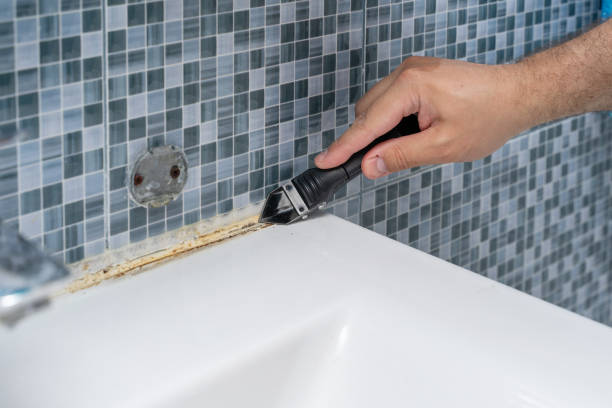 Reliable Bon Air, VA Mold Remediation Solutions